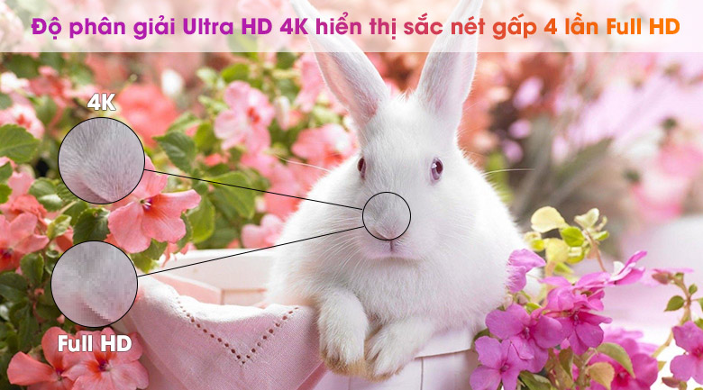 4K - Smart Tivi NanoCell LG 4K 75 inch 75NANO79TND