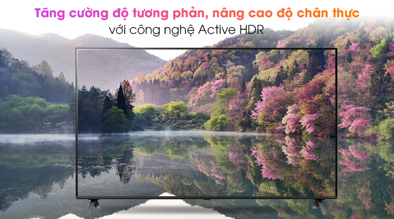 Active HDR - Smart Tivi NanoCell LG 4K 75 inch 75NANO79TND