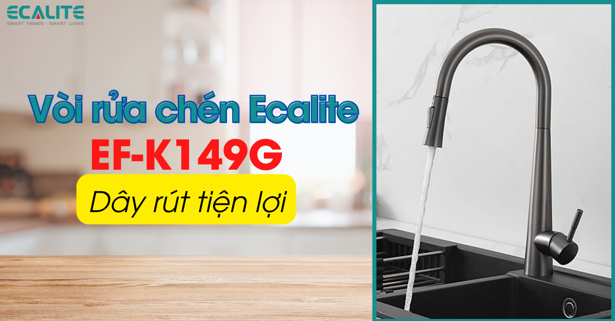 Vòi rửa chén nóng lạnh Ecalite EF-K149G