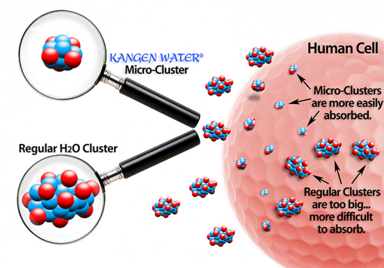 Cụm phân tử nước siêu nhỏ của nước điện giải giúp dễ thẩm thấu vào tế bào