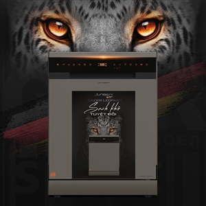 Máy rửa bát Junger Leopard DWJ-163-MS