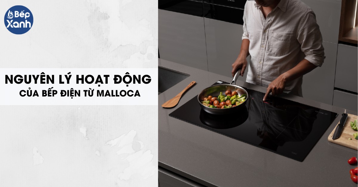 nguyên lý hoạt động bếp điện từ Malloca 2 vùng nấu