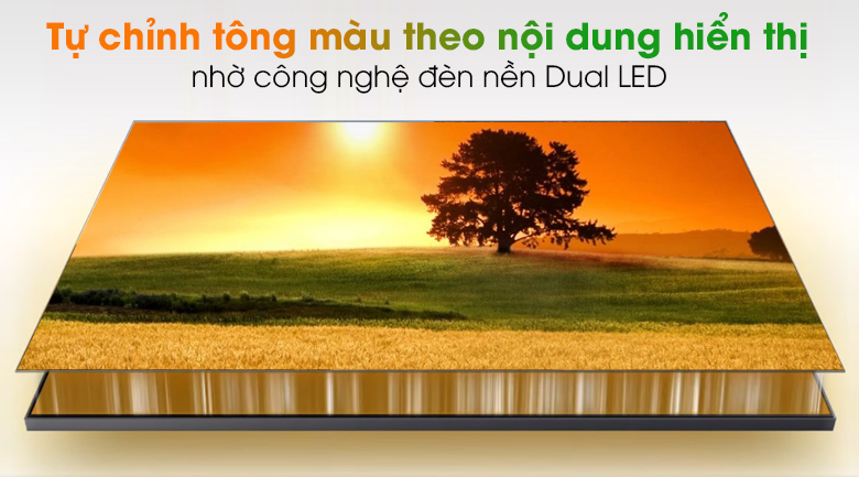 Smart Tivi QLED 4K 75 inch Samsung QA75Q65A - Dual LED