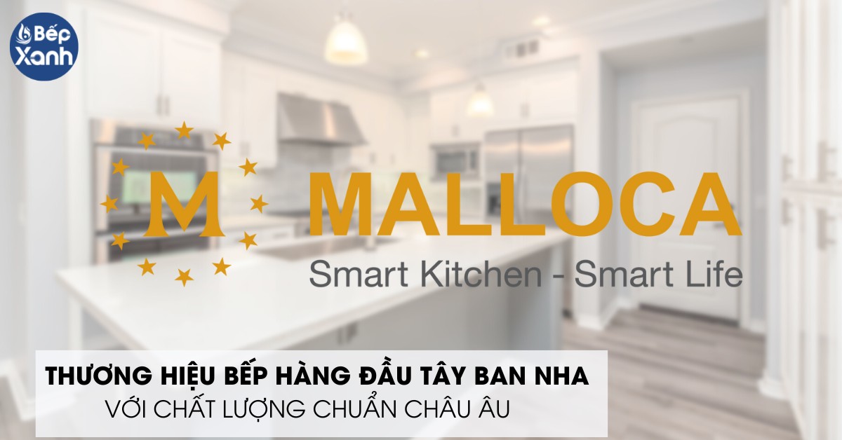 thương hiệu bếp điện từ Malloca 2 vùng nấu