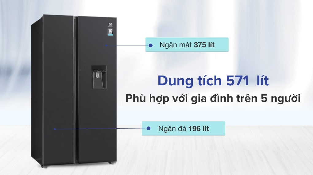 Tủ lạnh Electrolux Inverter 571 lít ESE6141A-BVN - Dung tích 571 lít