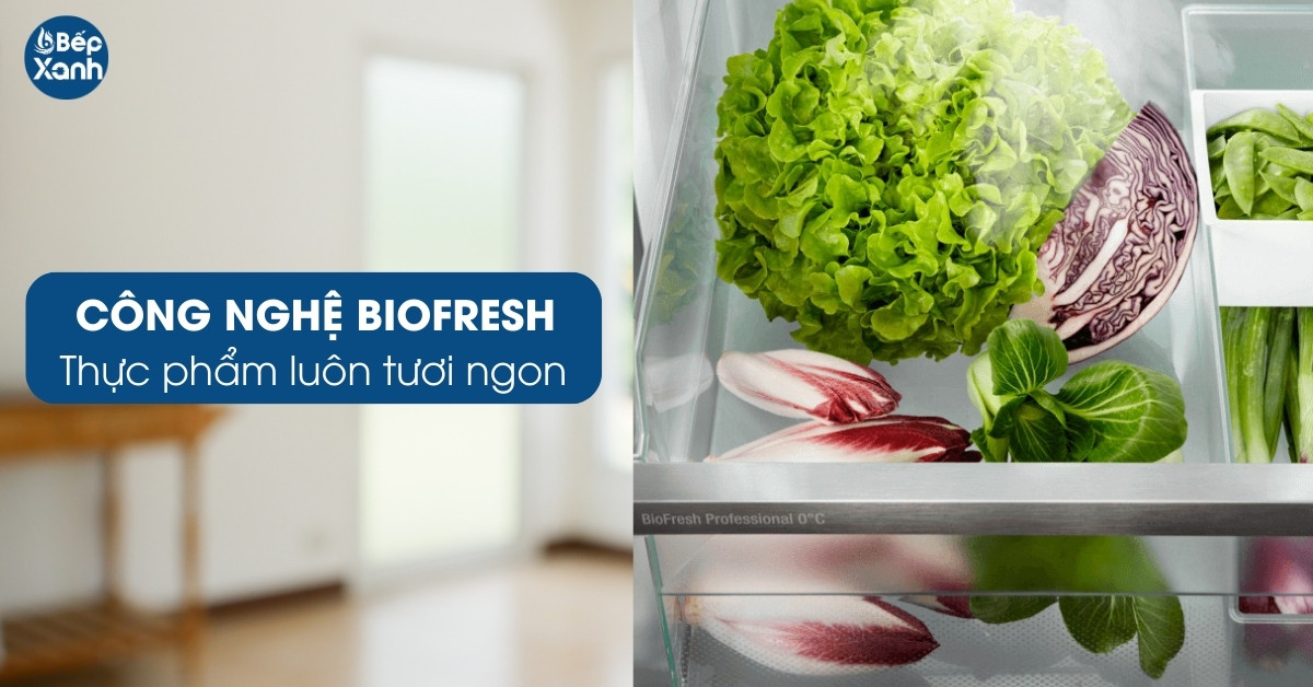 Tủ lạnh 665 lít Liebherr XRFbs 5295 công nghệ Biofresh