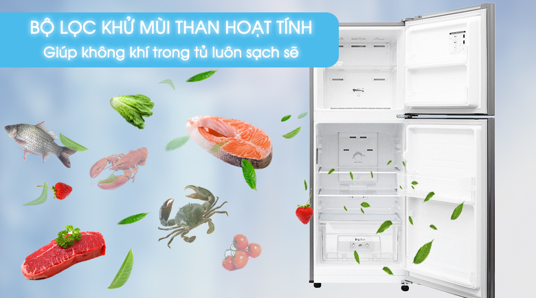 Tủ lạnh Samsung Inverter 208 lít RT19M300BGS/SV - Khử khuẩn