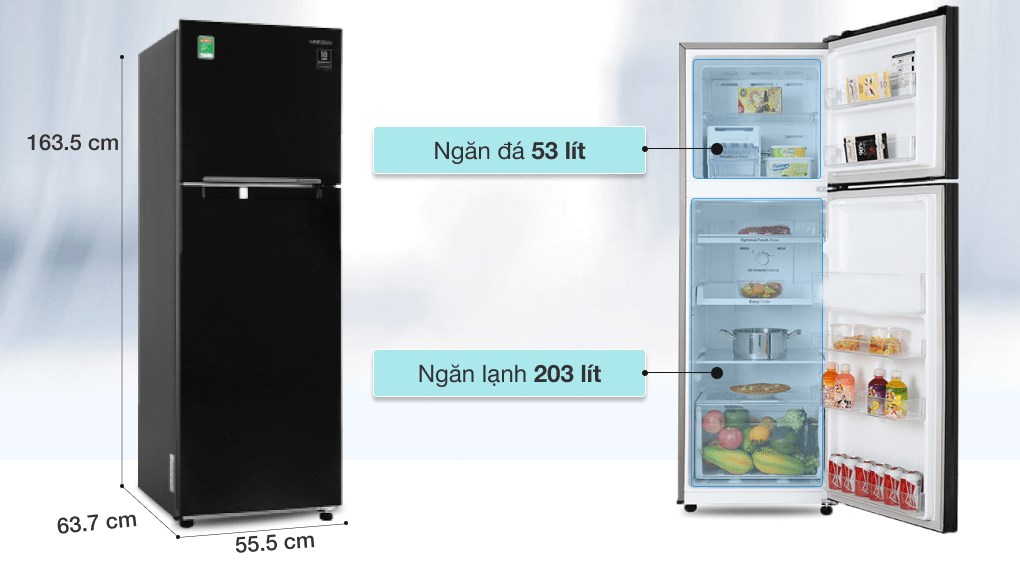 Tủ lạnh Samsung Inverter 256 lít RT25M4032BU/SV - Dung tích